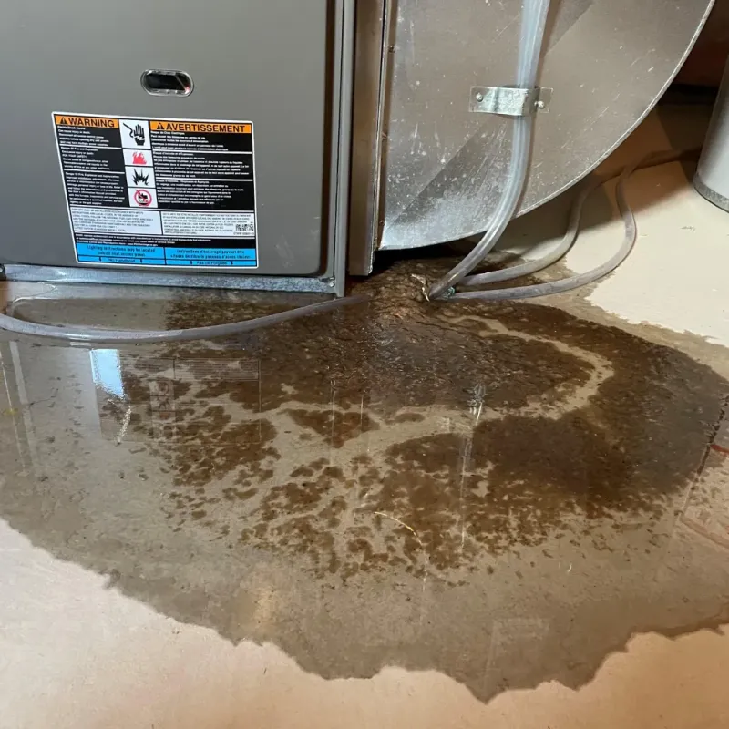 Appliance Leak Cleanup in Albany County, WY