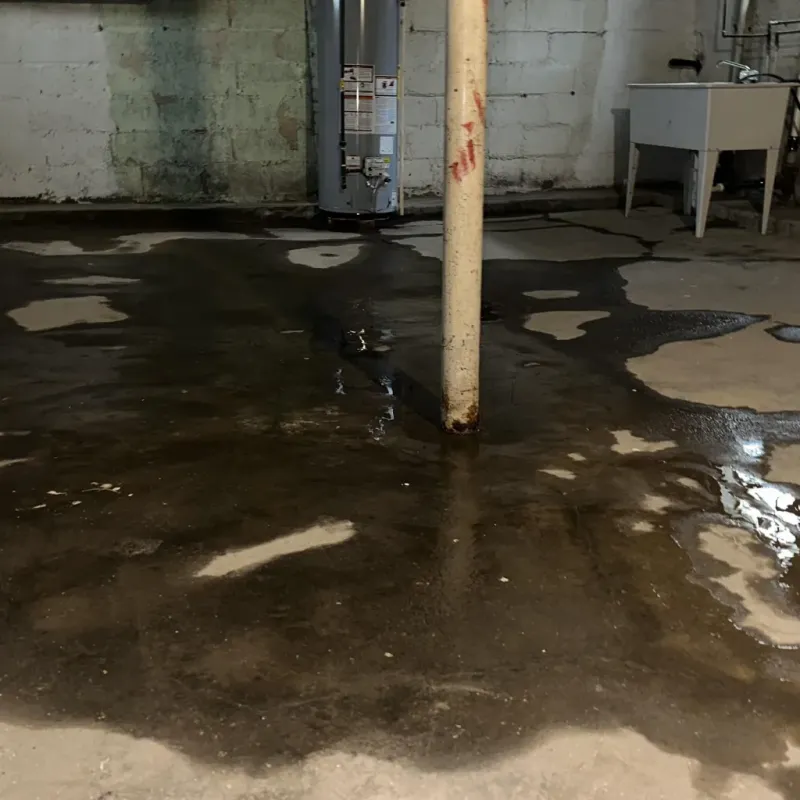 Emergency Water Extraction And Removal in Albany County, WY